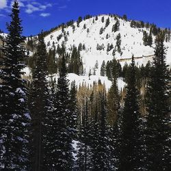 Scenic view of snow covered mountains