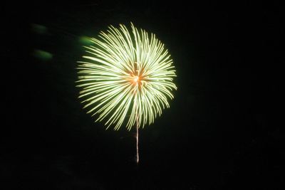 Low angle view of firework display in sky at night