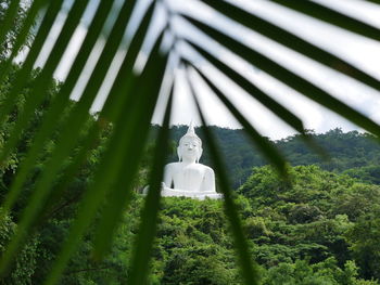 Buddha statue against trees 