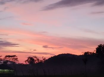 Silhouette trees against sky at sunset