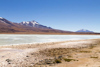 Scenic view of snowcapped mountains against clear blue sky