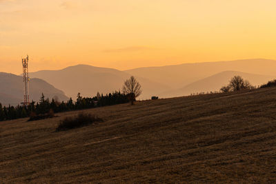 Scenic view of field against sky during sunset