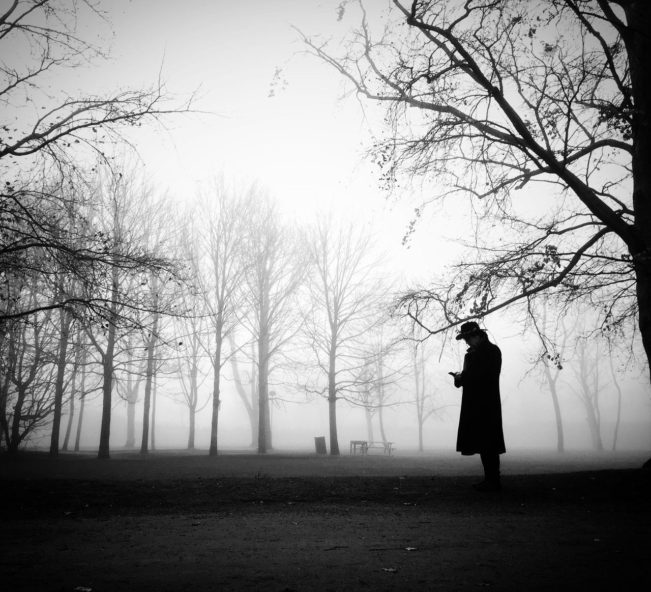 FULL LENGTH OF MAN WITH ARMS RAISED AGAINST TREE