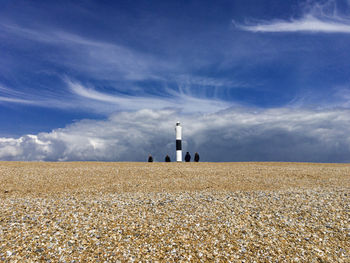 Scenic view of wheat field against sky