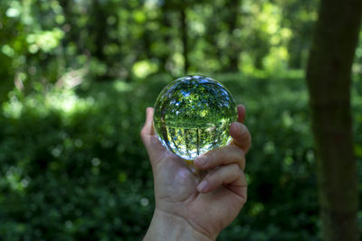 Close-up of hand holding crystal ball against trees