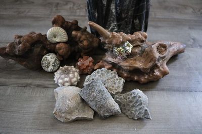 High angle view of garlic on table