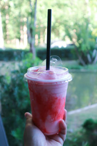 Cropped image of person holding drink