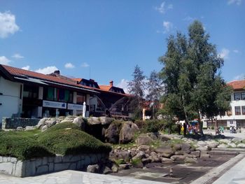 Trees and houses against blue sky