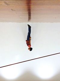 Low angle view of horse