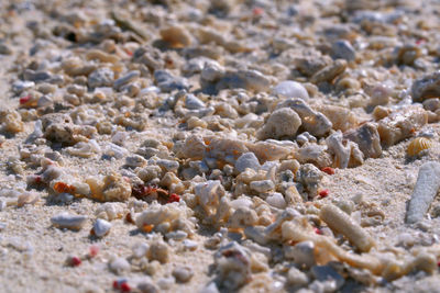 Surface level of pebbles on beach