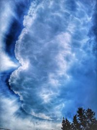 Low angle view of trees against blue sky