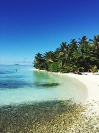 Scenic view of beach against clear blue sky