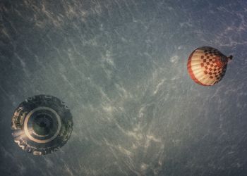 High angle view of shell in sea