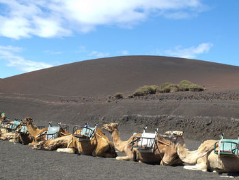 The spanish island of lanzarote