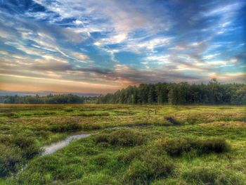 Scenic view of grassy field against cloudy sky