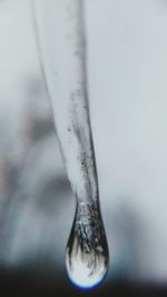 Close-up of water drop