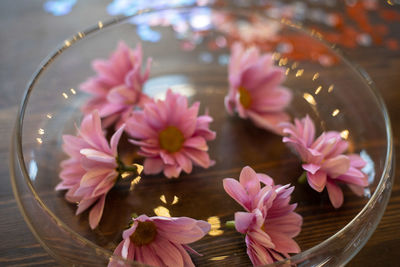 Close-up of pink flowering plants on table