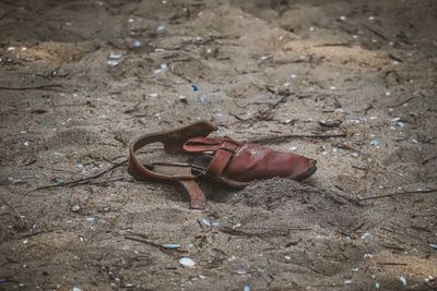 High angle view of footwear on sand at beach