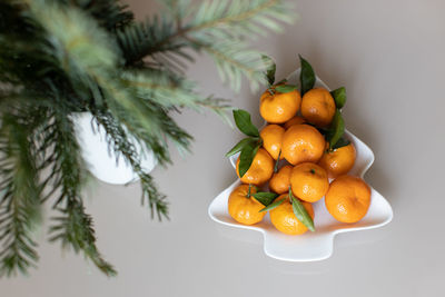 High angle view of fruits in plate on table