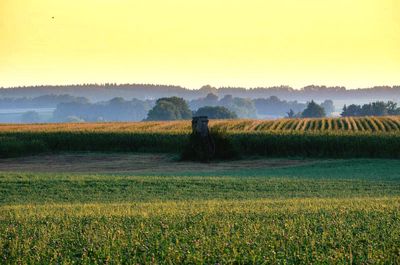 Scenic view of field against sky during sunset