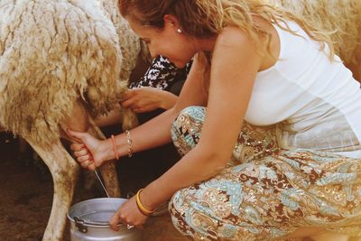 Smiling woman milking sheep at farm