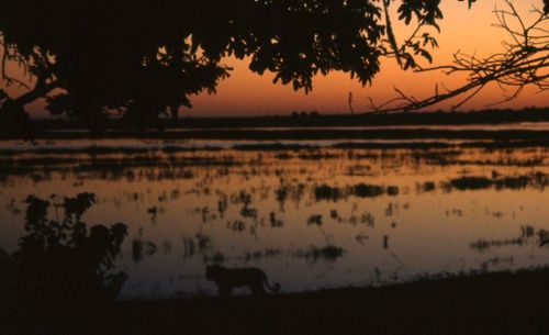 Scenic view of landscape at sunset