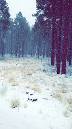 Scenic view of snow covered landscape