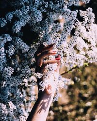 High angle view of woman hand on tree