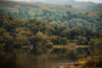 Scenic view of lake in forest during autumn