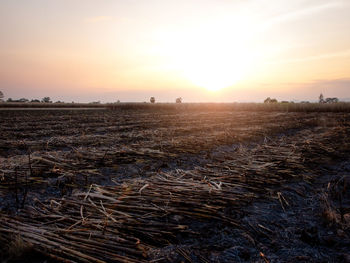 Scenic view of agricultural field against sky during sunset