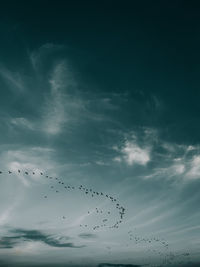 Moody sky group of birds flying above clouds