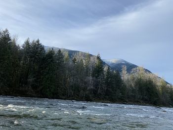 Scenic view of river by trees against sky