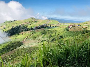 Scenic view of field against sky