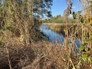 Scenic view of lake against sky
