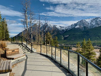 Footpath amidst trees and mountains against sky
