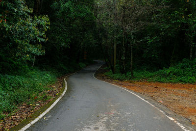 Empty road amidst trees in forest