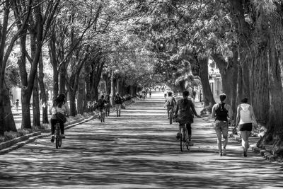 People walking on road