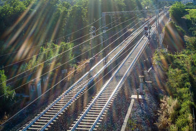 High angle view of railroad tracks amidst trees in forest