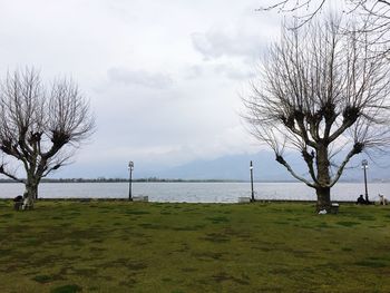 Bare trees on field against sky