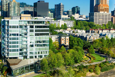 Buildings by trees in city