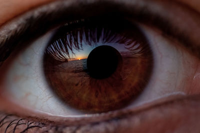 Extreme close-up of human eye with sunset on the sea 