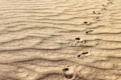 Full frame shot of sand