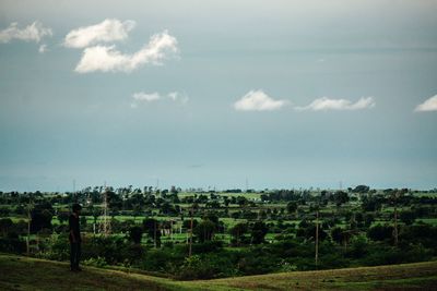 Scenic view of vineyard against sky