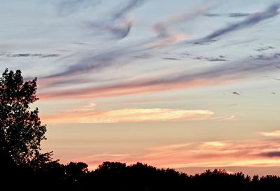 Low angle view of silhouette trees against sky during sunset