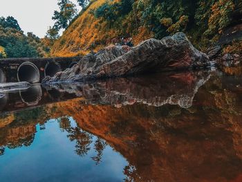 Reflection of tree in lake against sky
