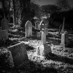 Cemetery against trees