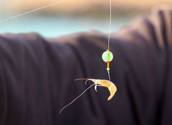 Close-up of hand holding fishing net