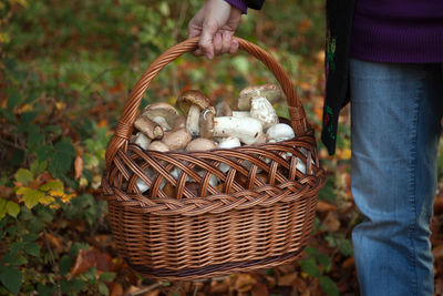 Midsection of man holding mushroom in basket