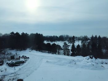 Trees on snow covered landscape against sky