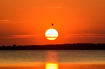 Scenic view of sunset over sea